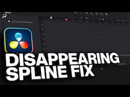 DaVinci Resolve | Disappearing Spline Graph/Keyframes Fix