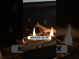 The Napoleon Vector is one of our best linear fireplaces!!