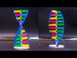 Science Projects | DNA Working Model