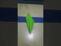 Origami Crane Bangau