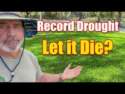 Record Drought Lawn Care What Next