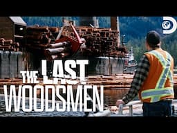 Massive Trees, Big Risks | The Last Woodsmen | Discovery