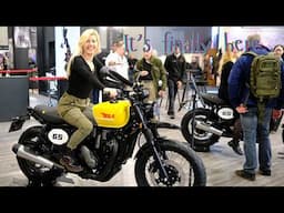 BSA B65 Scrambler 2025 ‖ FIRST LOOK Walkaround