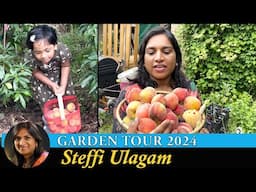 Steffi Ulagam Garden Tour 2024 | Harvesting Fruits from our Home Garden | Garden Vlog in Tamil