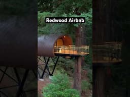 Redwood Forest Treehouse Airbnb! #airbnb #treehouse #forest