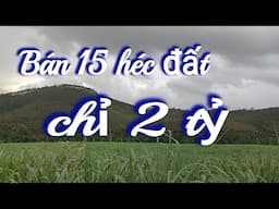 Bán Siêu phẩm Nông nghiệp 15 héc chỉ 2 tỷ,0395507506