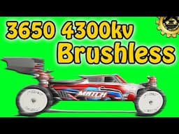 WLTOYS 104001 Brushless Upgrade BUILD & SPEED RUN 2s 3s - 1/10 Buggy