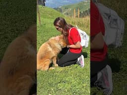 When you visit the mountains and are welcomed by a friendly doggo ❤️😍