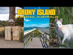 BRUNY ISLAND: is it worth the HYPE?! (Van Life Vlog)