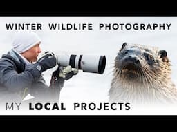 WILDLIFE PHOTOGRAPHY close to home ⎸ My winter projects