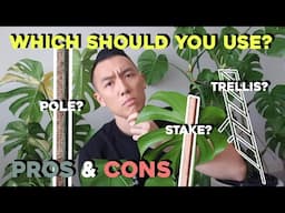 How to use a stake, moss pole & trellis for your Monstera / indoor plants + Pros & Cons