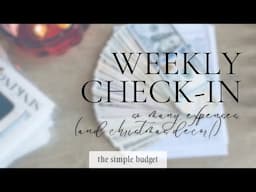 weekly check-in | christmas home decor! | expense tracking | zero based budgeting