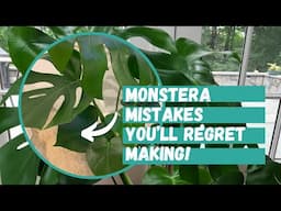 Monstera Mistakes to Avoid | Monstera deliciosa | Monstera Plants