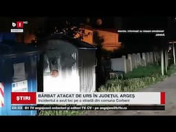 BĂRBAT ATACAT DE URS ÎN JUDEȚUL ARGEȘ. Știri B1TV_17 nov. 2024