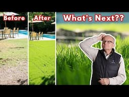 Do This AFTER Overseeding Your Lawn: bare spots, watering, maintenance