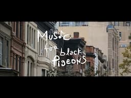 Music For Black Pigeons - Official Trailer