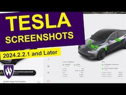 How to take a Screenshot in a Tesla