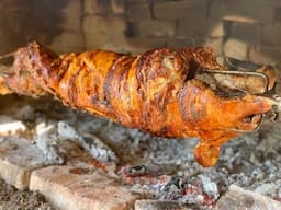 Prase na raznju / Roast Pig Grilled BBQ