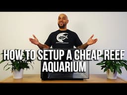 How To Setup a Cheap Reef Aquarium #SuperSimpleBudgetReef Ep2