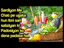 Abhi Lagaiye In Sabzion Ke Beej, Sardiyon Me Sabzion Se Bhar Jaiga Bagicha | Winter Vegetables