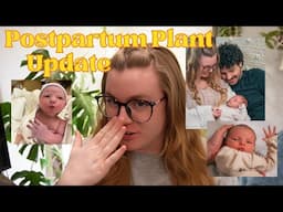 All My Houseplants Left After Having Our Baby | Postpartum Plant Collection & Update