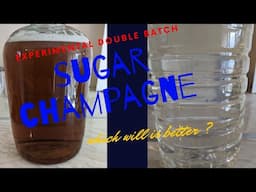 double batch sugar champagne experiment