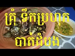 បោះតង់ស្រុះគ្រុំទឹកប្រហុកបាត់ដំបង | Camping Cooking Mussels and Snails Prohok Sauce EP.3 End