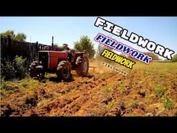 Doing fieldwork with the Massey Ferguson 275 |Vlog19