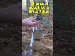 Survival Skills: How to Filter Water in the Woods!