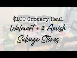 $100 Weekly Grocery Haul | 2 Amish Salvage Stores + Walmart | #stocktober #alphagalallergy