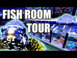 MY CRAZY FISHROOM TOUR ~ FRESHWATER STINGRAY UPGRADE!