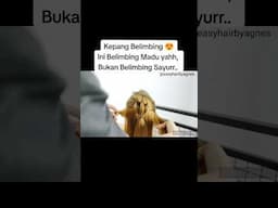 Kepang Belimbing U/Putri Anda 😍 #hair #hairstyle #tutorial #hairtutorial #vlog #hairstyle #vlogger