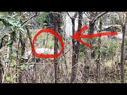 Paranormal Bigfoot Sasquatch Creature Lures Man Away From His Family And Then Goes In For The Kill!