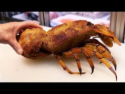 Japanese Street Food - RED SLIPPER LOBSTER AND GROUPER FISH Okinawa Seafood Japan