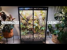 Creating a Bioactive Terrarium from an IKEA greenhouse cabinet