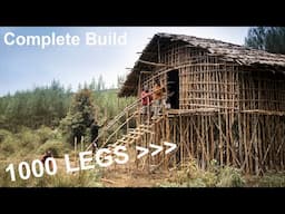 Amazing Millipede House of West Papua - Built from the Forests - Rumah Kaki Seribu