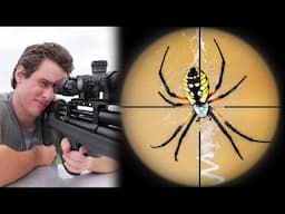 Exploding Giant Spiders with my Air Rifle!