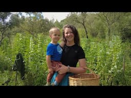 Three months of growing food for my family - Spring