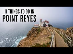 11 Things to do at Point Reyes National Seashore