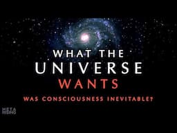 Does the Universe have a Purpose? ~ Consciousness Documentary