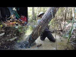 BERMALAM DI HUTAN RAWA DAN TERPERANGKAP NYA BANYAK IKAN SAAT MUSIM KEMARAU TIBA.. PANEN...