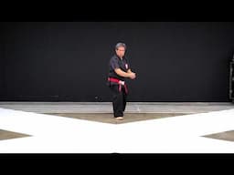 Kata Bassai Sho - performed by Roy Cadiente Kyoshi