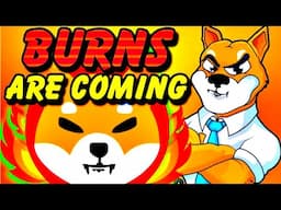 Shiba Burn Party! #Shorts