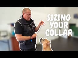 How to Size a Dominant Dog/Slip Collar