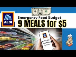 ALDI $5 FOOD CHALLENGE | BREAKFAST, LUNCH, & DINNER for 3 DAYS