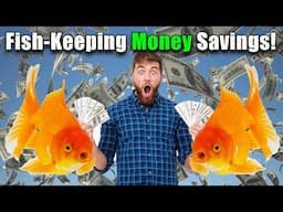 How to Save Money in Fish Keeping in 2025!