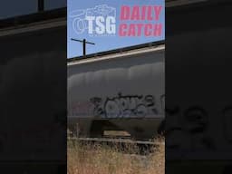 #trains #shorts #youtubeshorts #tsgdailycatch 111424