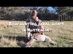 Bowhunting feral goats in Australia