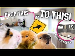 Renovating a WHOLE ROOM for the Guinea Pigs!