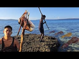 Hari Ke 15 di Pulau Terpencil BANYAK CUMI BERKELIARAN DI DEPAN GUBUK KAKEK